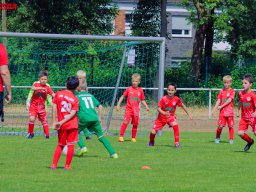 Hillen Cup 2024